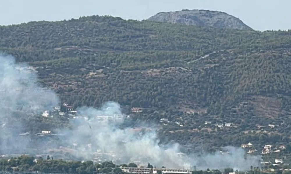 Εύβοια: Φωτιά κοντά σε ξενοδοχείο -Επιχειρούν δυνάμεις της Πυροσβεστικής